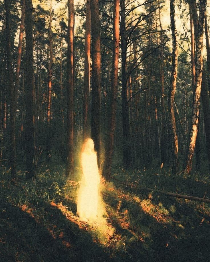 Cover image for Mnemosyne of Oneiroi